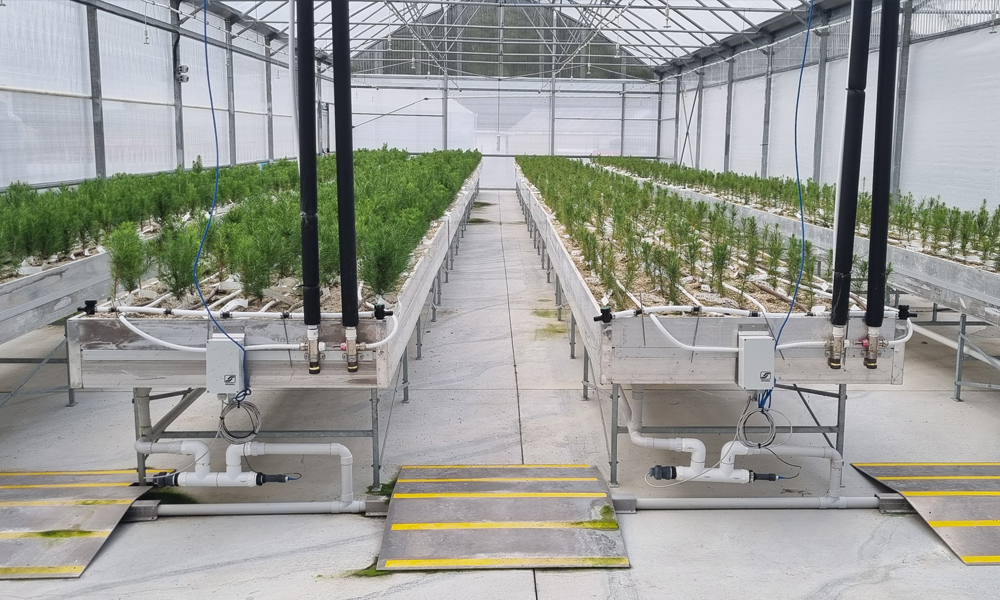 PrimeHort Website Blog_Reflecting on a landmark project for Scions_2