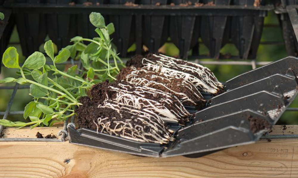 PrimeHort Website Blog_Horticultural Glossary to Nursery Pots, Planter Bags & Trays_5