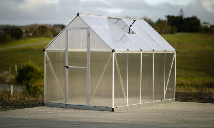 Deals Aplenty at Nursery Trade Day…_1