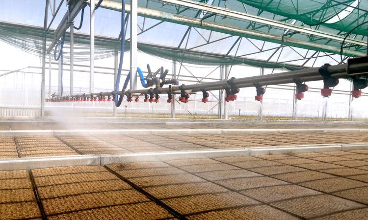 Benefits of Nursery Automation_1