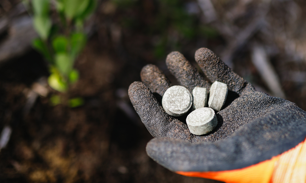 Let’s talk landscapes_3