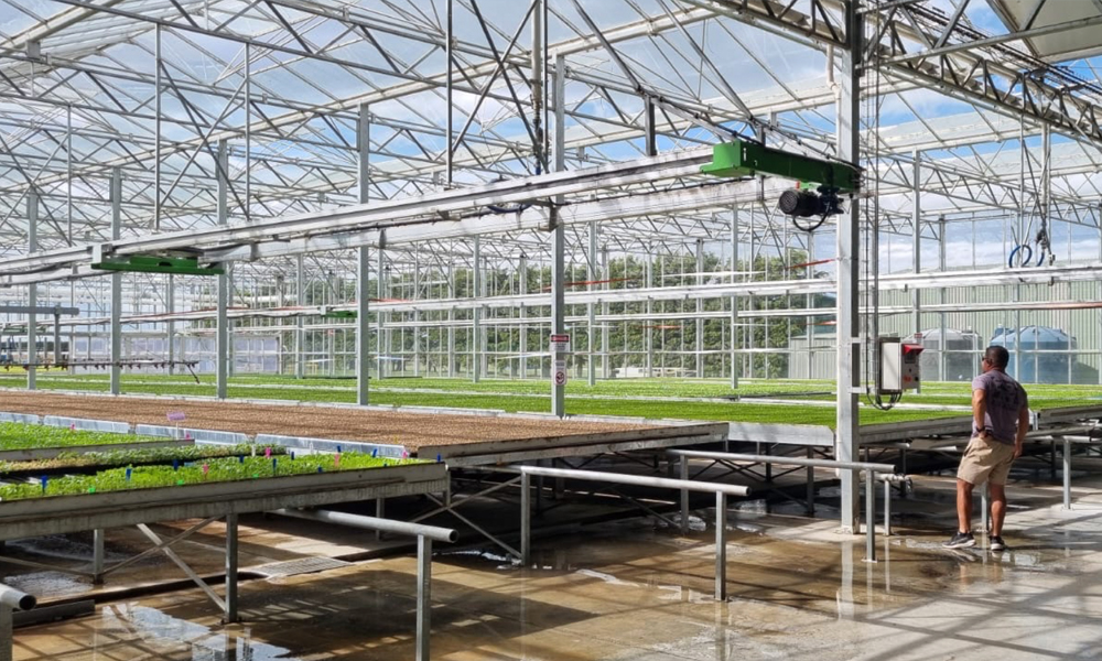 PrimeHort Website Blog_LeaderBrand Scales Up Irrigation_3