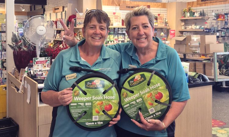 PrimeHort Website Blog_Growing Green Thumbs with Soaker Hoses_5