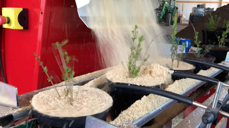 large-PH Bark Topper PH Thumb