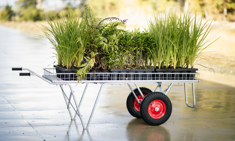 Nursery Plant Carts – Meet our winners _1
