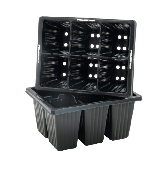 6 Cell Punnet - 136x107x70mm