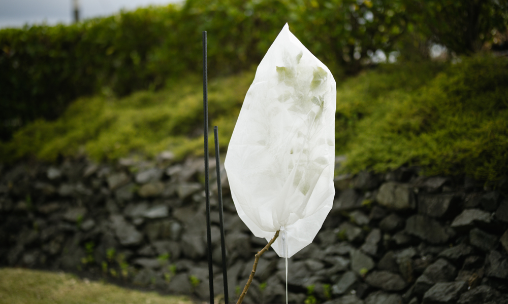 Frost Cloth, like a Warm Blanket for Plants!_2