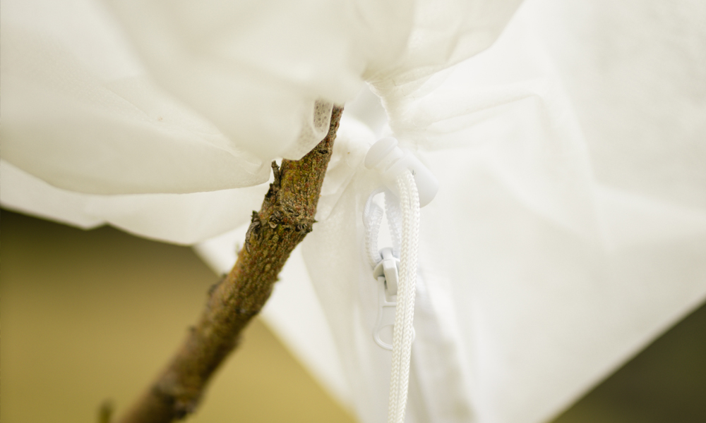 Frost Cloth, like a Warm Blanket for Plants!_5