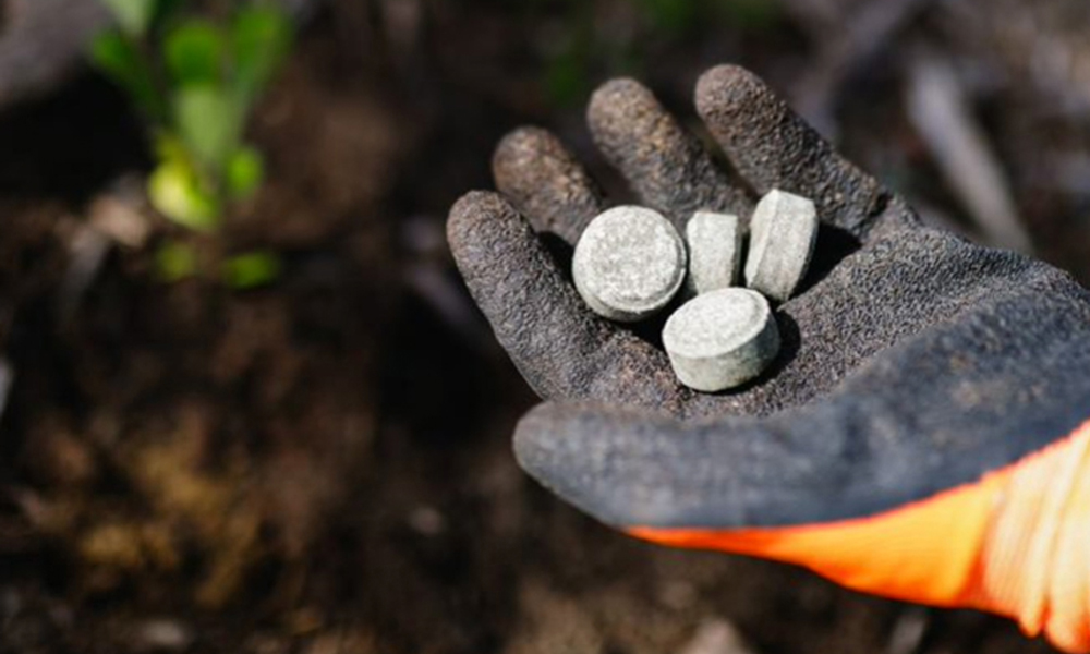 Get Set for Winter Planting_2