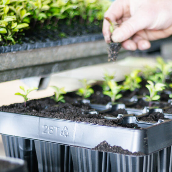 Farm Nursery Business Starter Kits