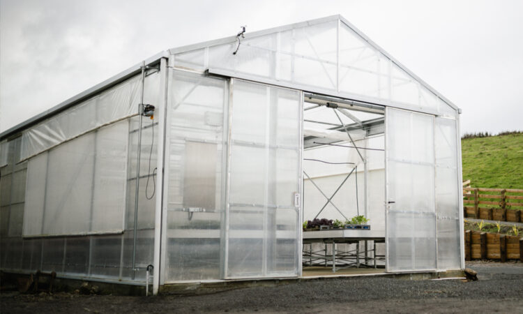 Investment Boost could benefit growers_1