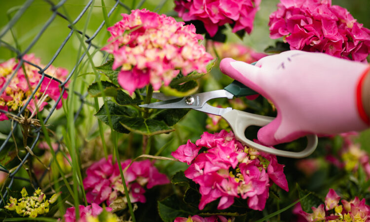 Retailers – Ready, Set, Spring_5