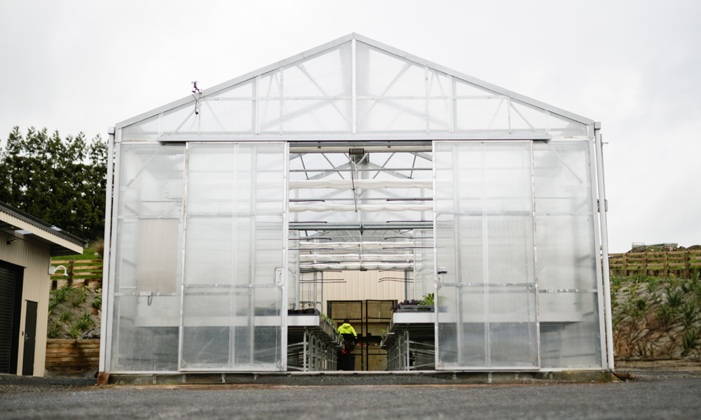 From Seedling to Storytelling- A Greenhouse like no other_2