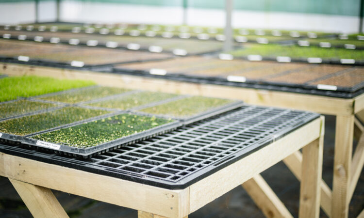 Get Growing with Benching Systems_6