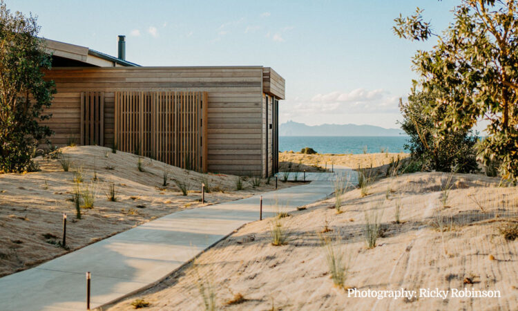 Choosing the right ground cover for the job_1