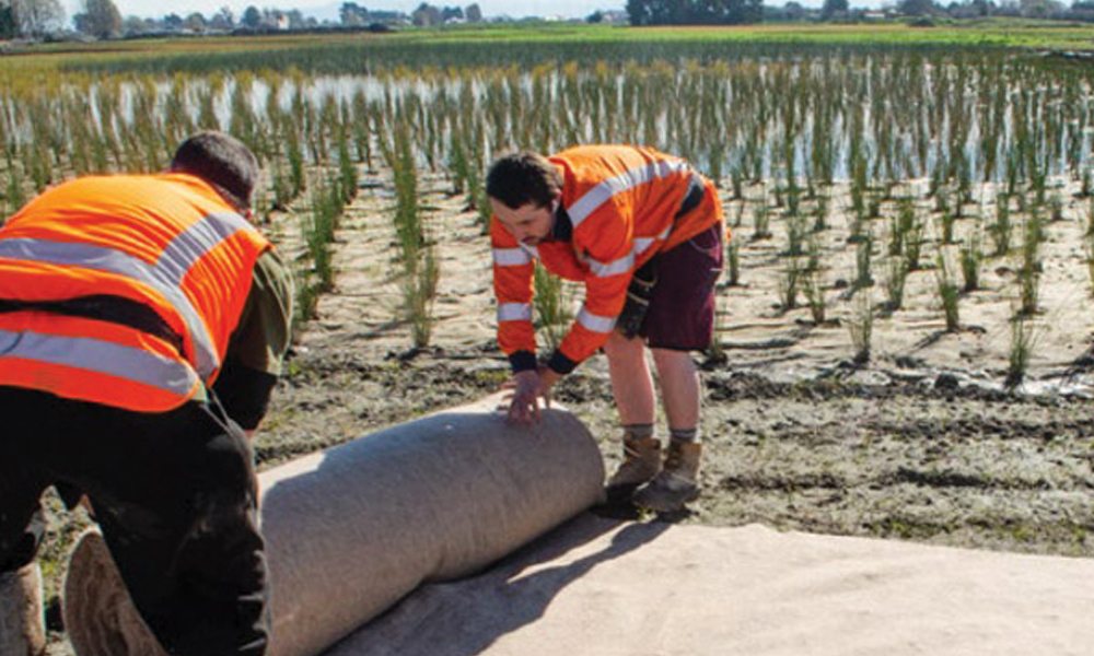PrimeHort Website Blog_Best Horticultural Matting for Landscape Projects_5
