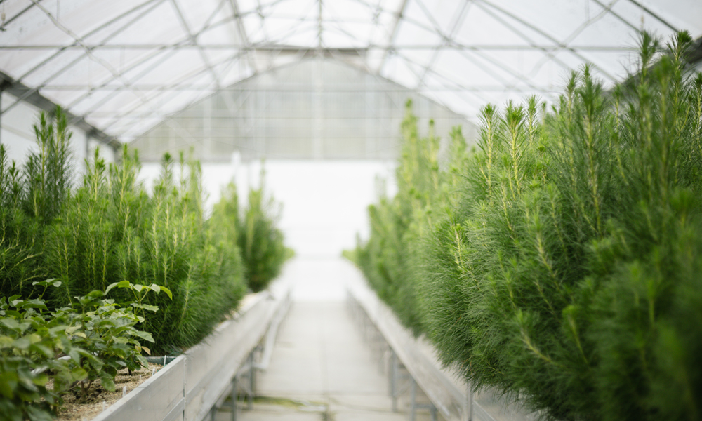 SCION NURSERY- AUTOMATION APPEALS TO AN INNER NERD_2