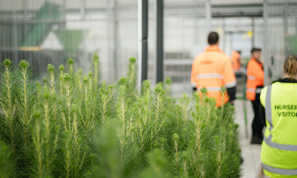 SCION NURSERY- AUTOMATION APPEALS TO AN INNER NERD_3