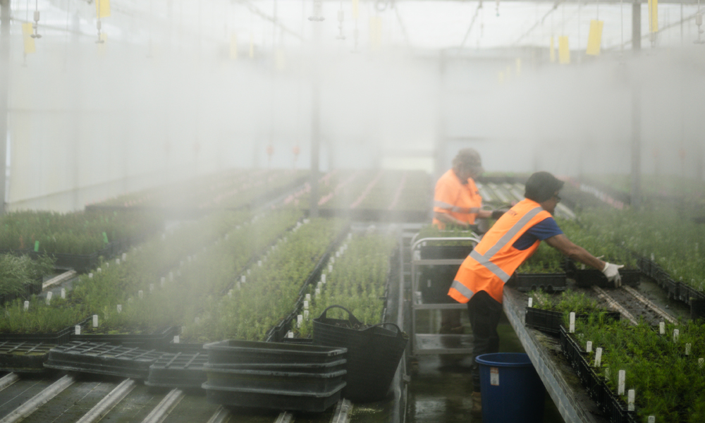 SCION NURSERY- AUTOMATION APPEALS TO AN INNER NERD_5