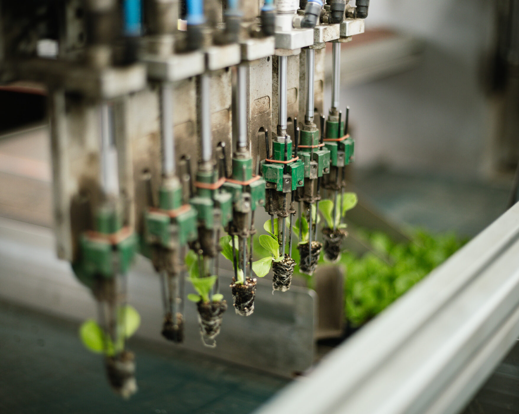 Transplanter Image