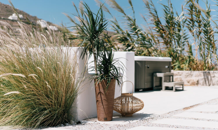 Best Pots for Home Gardening_1