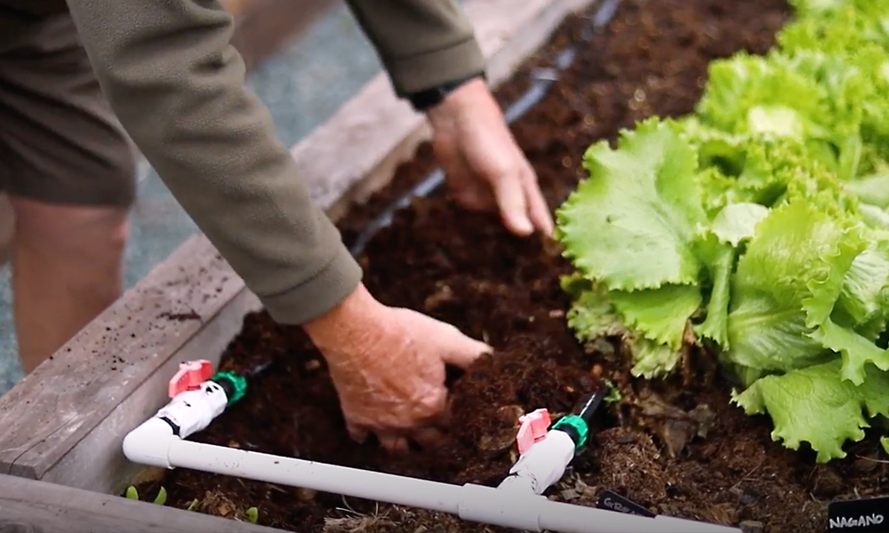 Getting Potting Mix Nutrition Right_4