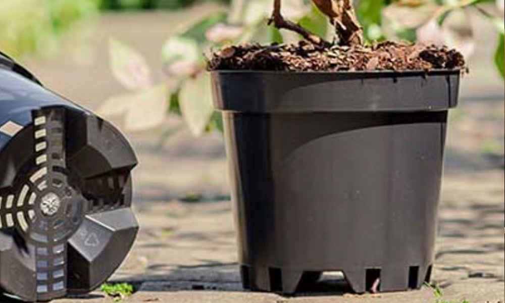 Growing Blueberries in Pots- Do They Grow Better in Containers or the Ground?_3