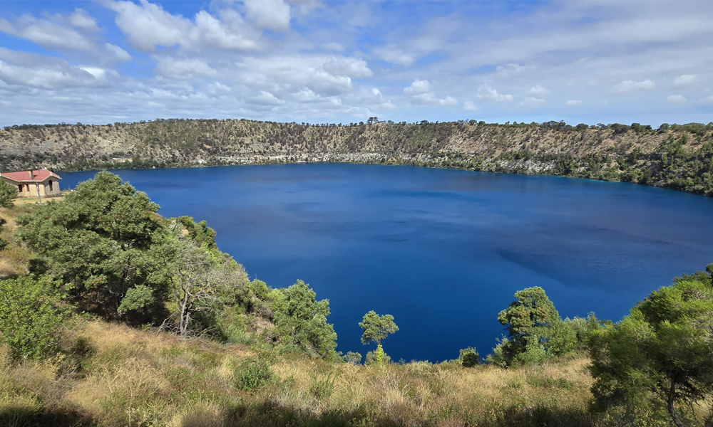 On the road with Australian Forest Nursery Association_3