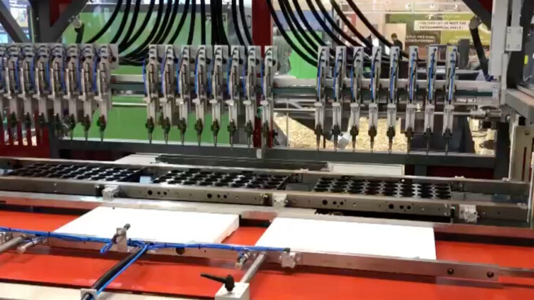 PH Web Thumb - Da Ros Transplanter TP-24 In Action