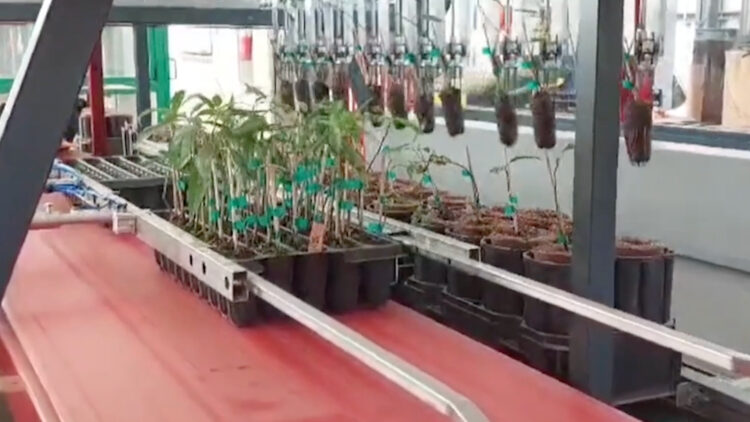 PH Web Thumb - Da Ros TP-24 Transplante r — Transplanting Young Fruit Trees