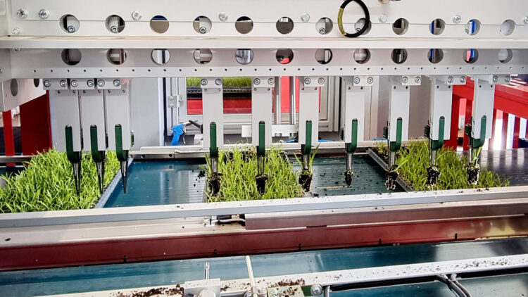 PH Web Thumb -The Da Ros TP-MT Transplanter