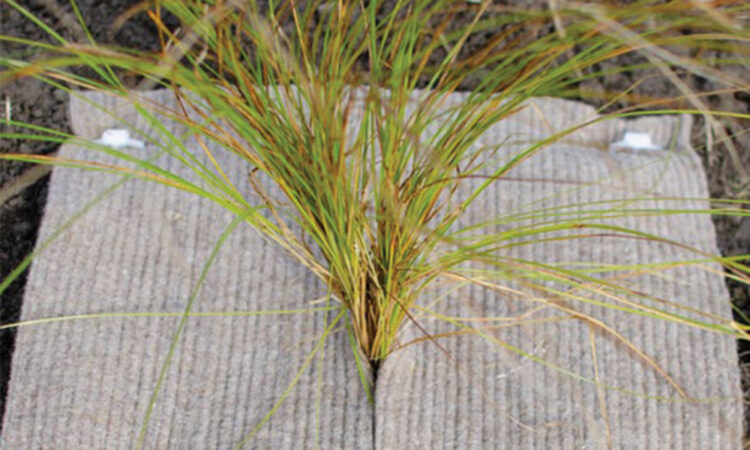 PrimeHort Website Blog_Best Horticultural Matting for Landscape Projects_3