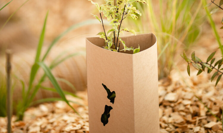 Buyers Guide- Plant & Tree Guards_1