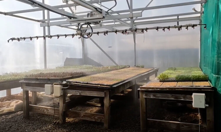Automation in action at Amber Garden Centre_3