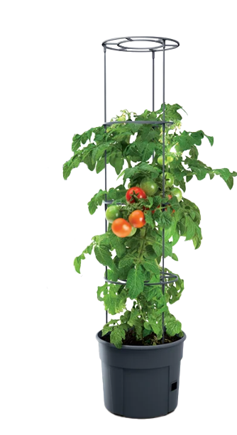 Veggie Vine Towers
