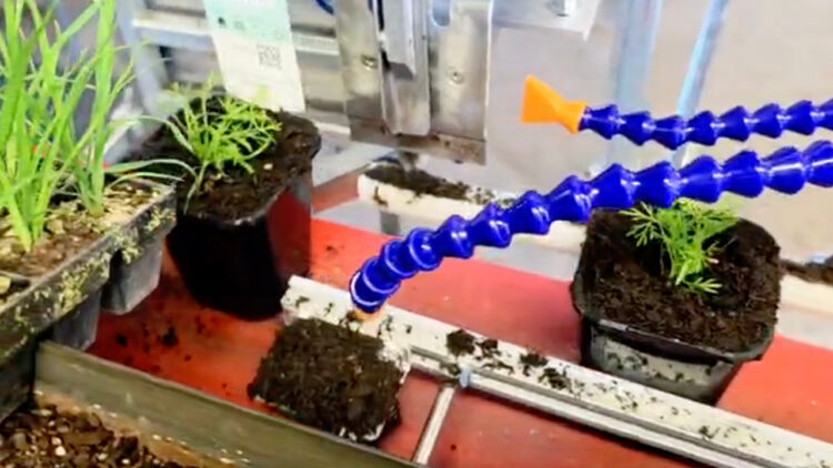 PH Web Thumb - Customised Pot Labelling Machine