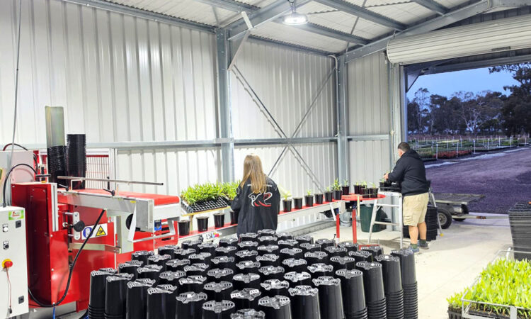 Potting Machine installed at Chartwell Nurseries_2
