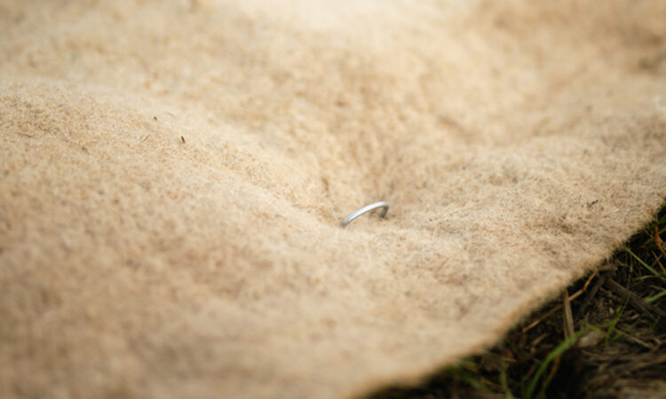 Six ways to protect landscape plantings this summer_1